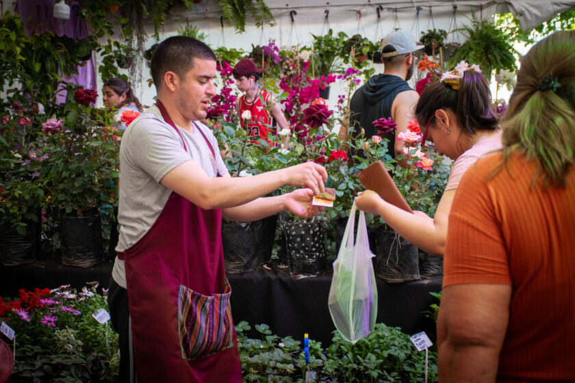 Fiesta Plantín Floral en Moreno 